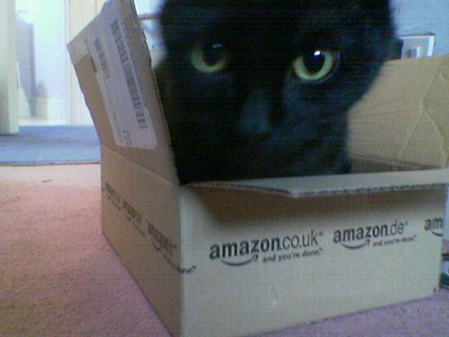 Misery loves amazon | My cat Linus loves jumping into boxes,… | Flickr