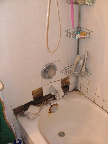 Bathroom Remodel - Before 003