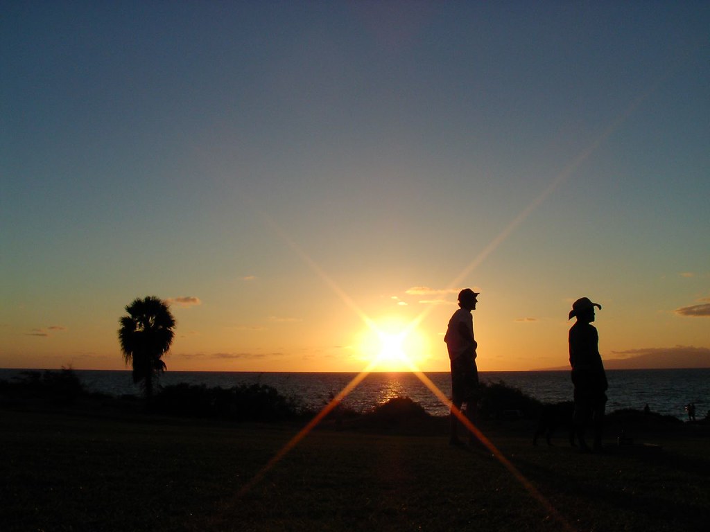 Action At Sunset