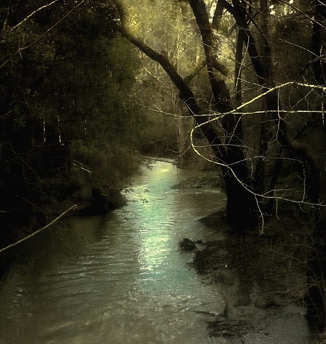 The Lagunitas Creek by hurleygurley