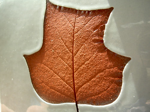 leaf ceramic tile | stvcr | Flickr