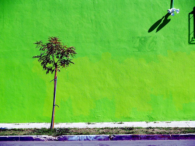 Lime Green Wall