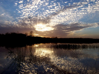 Sunset Lake Abilene - 022.60