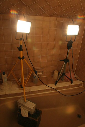 The Makeshift Studio (AKA Bathroom) | by dview.us