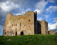Ruins of Toolse castle / Toolse linnuse varemed