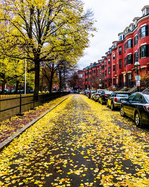 Boston Fall in Red and Yellow