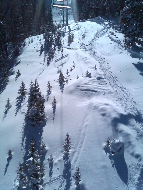 Chickadee Trail