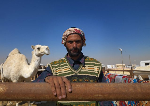 Camel keeper - Riyadh Saudi Arabia