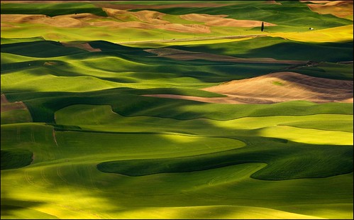 afternoon in the palouse by jody9