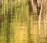 Stream reflections 03 | by Words for the birds