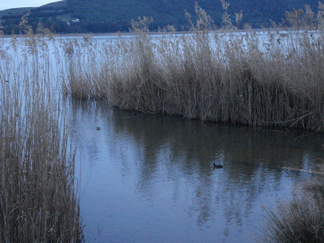 Lago di Pergusa - riserva protetta