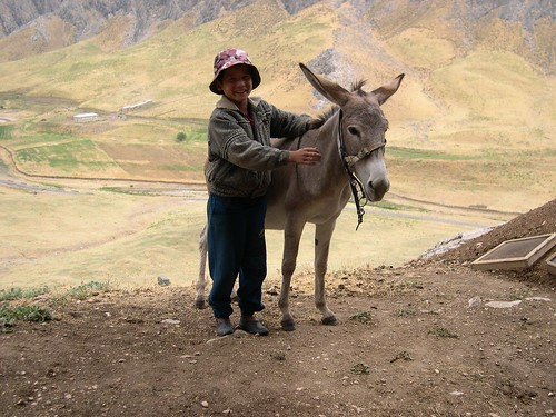 Boy and Donkey in Uzbekistan