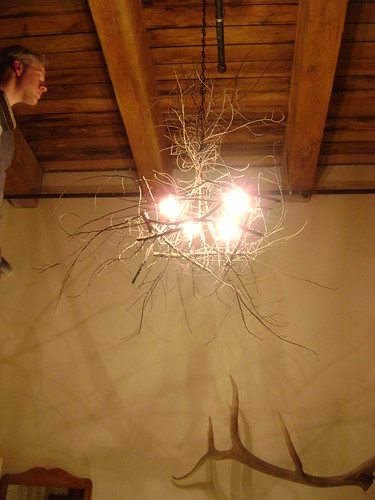 homemade twig chandlier | by krunkinator