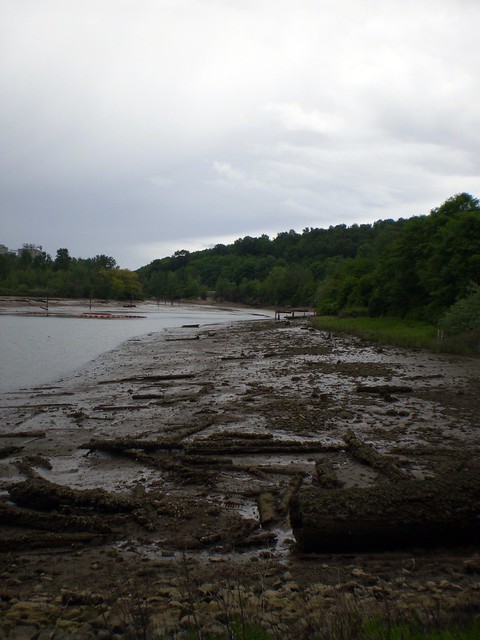 Duwamish River mudflat at Herring's House Park