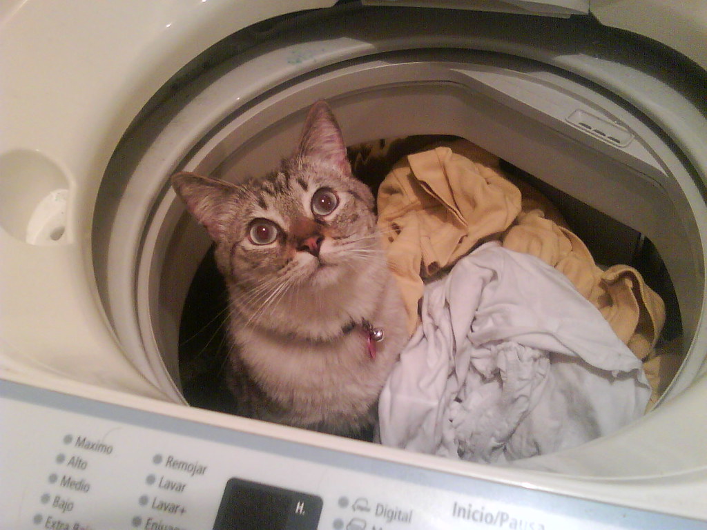 Aníbal en la lavadora