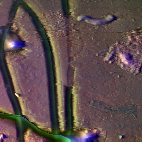 [070531] Oscillatoria A2 PLL wet mica tapping-mode (018) xy 10um z 380nm | by Toby Ciranjiiva Tatsuyama-Kurk