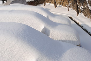 Snowed In 2010 | by Dave and Kim Travel