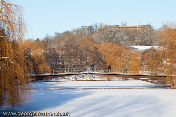 York University in Winter