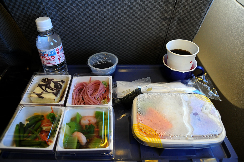 2009.05.28 日航 JAL 飛機餐