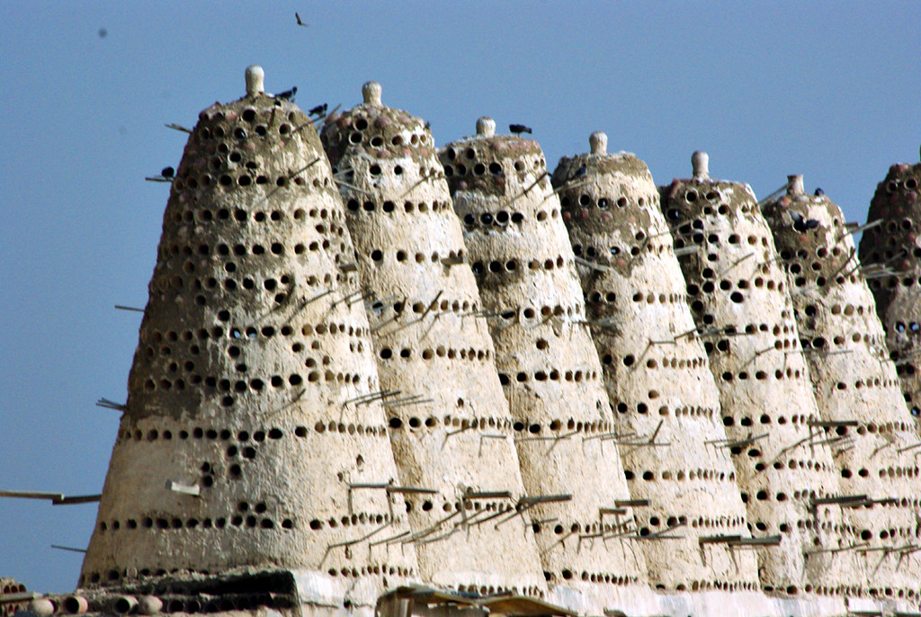 P7488sm EGYPT Pigeon Houses | Egyptian pigeon houses: Pigeon… | Flickr
