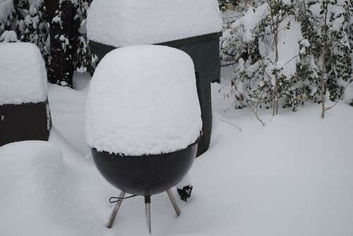 snowstorm (6) | by mschub
