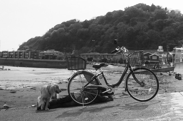 Bicycle and Dog