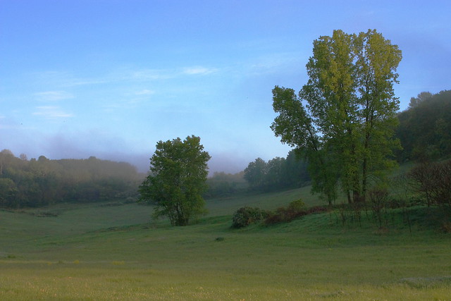 Morning Fog & Fields