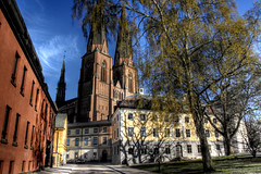 Cathedral and tree. Uppsala. Catedral y árbol
