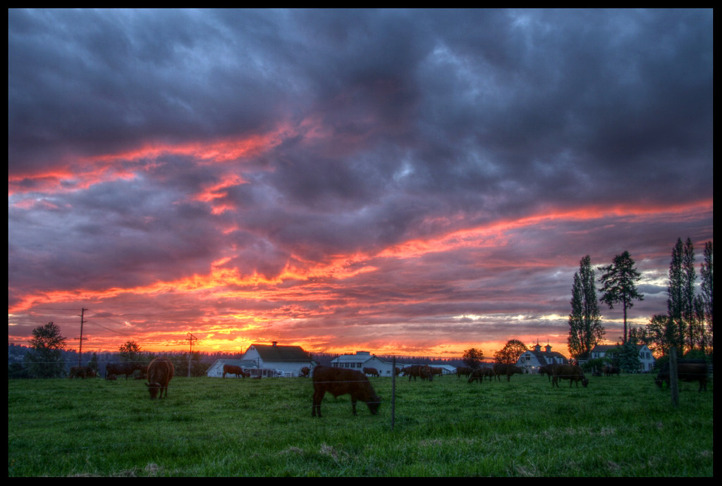 Farm sunset HDR by neverhood312