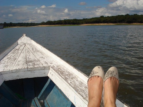 Amazon Jungle | by ailenelim