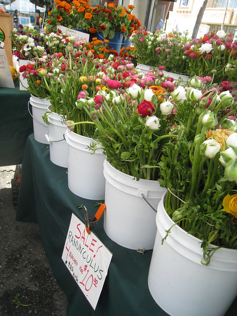 Campbell Farmer's Market Flowers