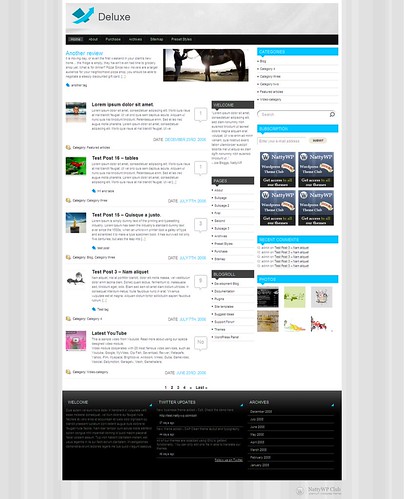 Deluxe Wordpress Theme | by WordpressiThemes