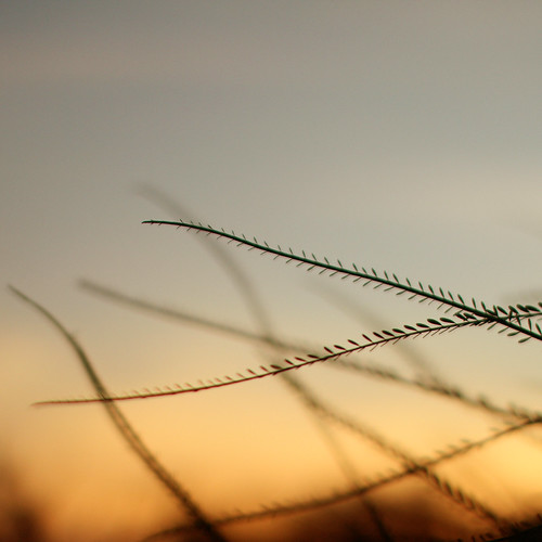 in the autumn of our days.... | by jmtimages