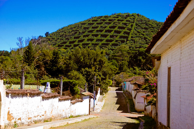 Cerro de Apaneca