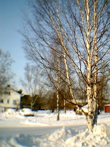 Mini Digital Camera test shot | by - Man from the North -