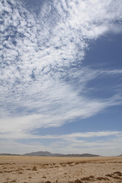 Namib landscape