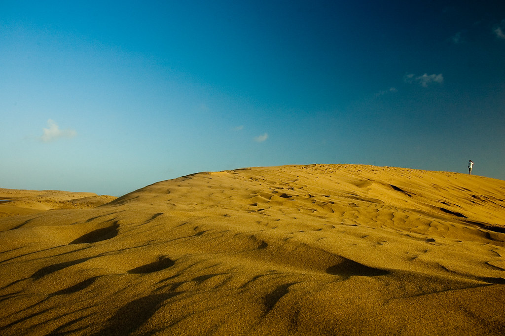 in the dunes of maspalomas 4
