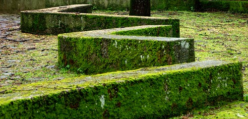 Panchine "verde muschio" | by rana63...