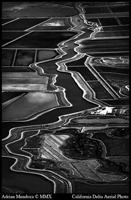 Aerial Photo in the California Delta