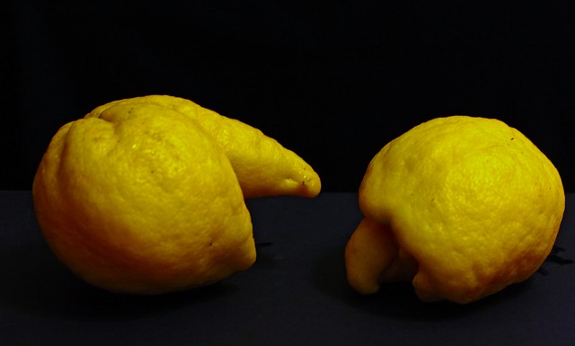 Mr and Mrs Lemon - Il signore e la signora Limone