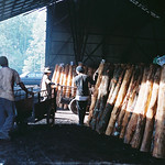 Charcoal Factory - workers