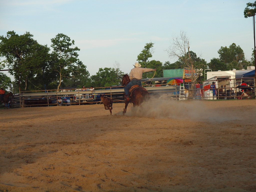 Cheek Texas Ladays Arena outside Beaumont ASGCA Bill Picke… | Flickr