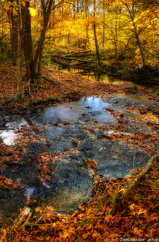 water forest reflections landscape virginia nikon fallcolors d300 loudouncounty loudounphotoclub tomlussier