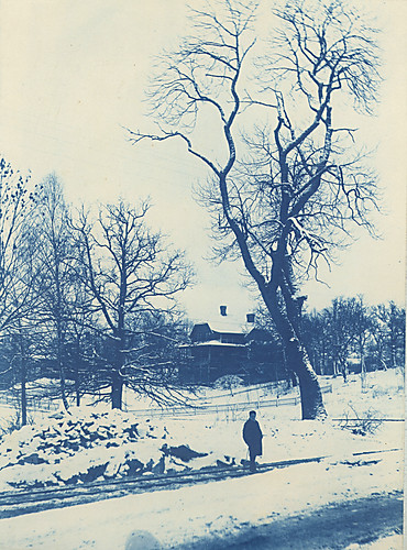 trees winter snow villa cyanotype riksantikvarieämbetet theswedishnationalheritageboard