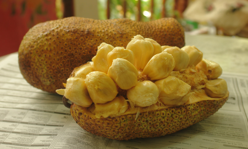 Durian cempedak How do