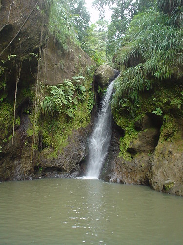 BelleVue Falls