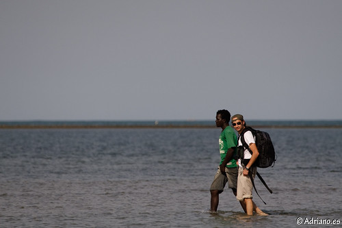 africa viajes gambia playas mares prismaticos ecosistemas viajegambia2009 tanjiriverbirdreserve isladelospelicanos