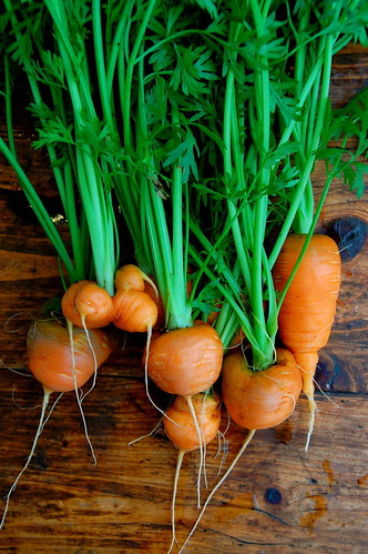 parisian carrots | by rubyellen