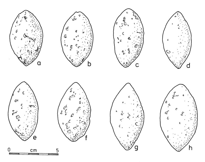 Illustration of Latte Period slingstones from the area of Pagat.  The illustration is from Dr. John Craib's 1986 dissertation.

John Craib