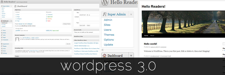 Wordpress users
